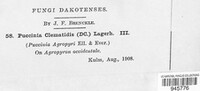 Image Associated With the Occurence